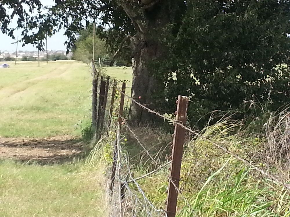 4721 N State Highway 123, San Marcos, TX 78666